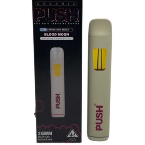 Push Disposable 2 Gram push carts disposable